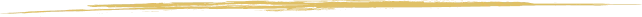 Vector