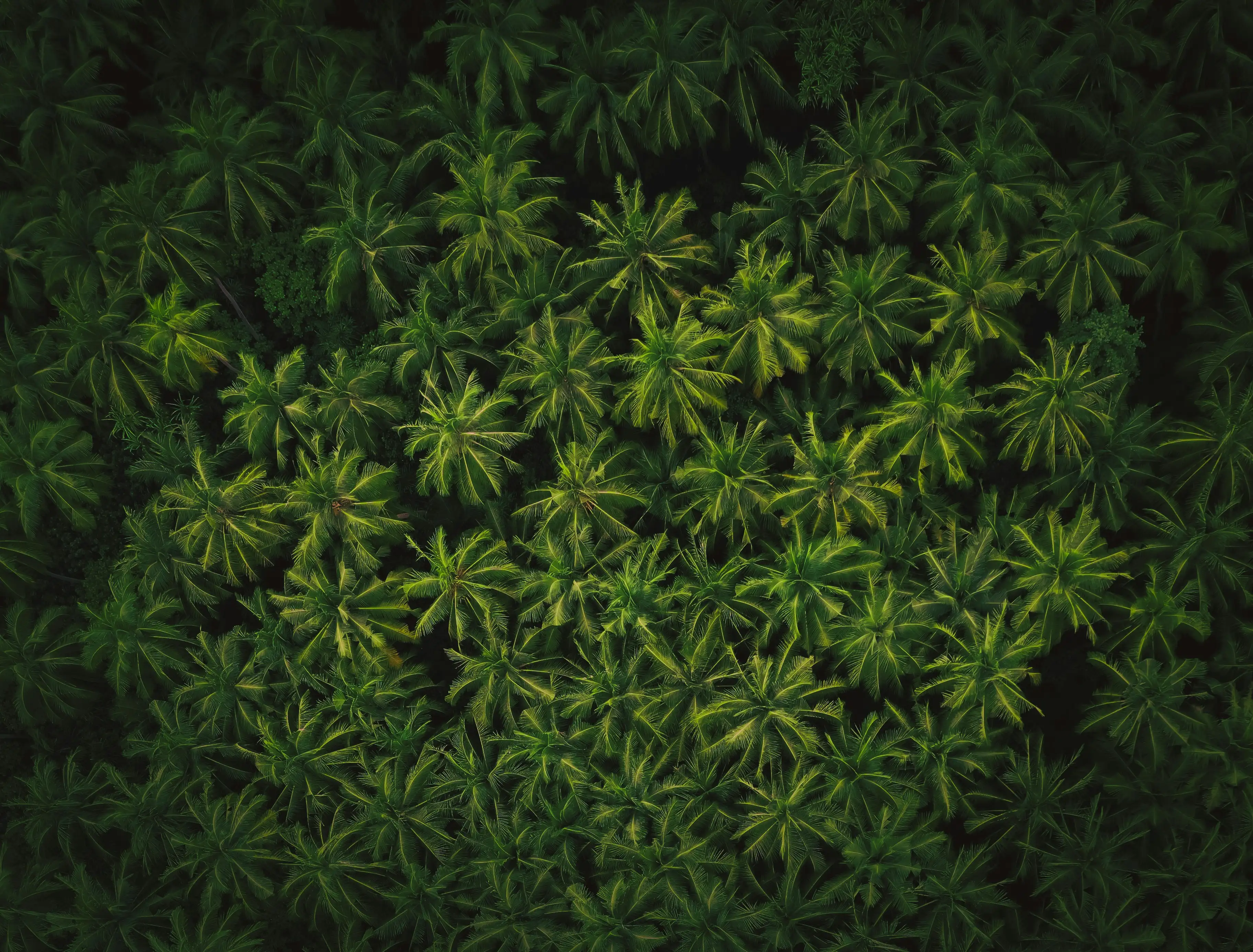 Blog Background